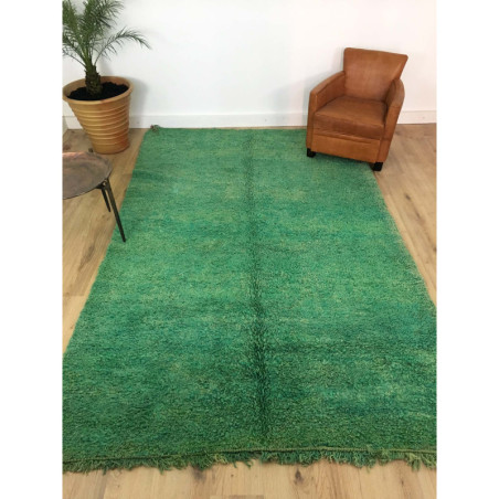 Rare tapis berbère Beni M'Guild vert